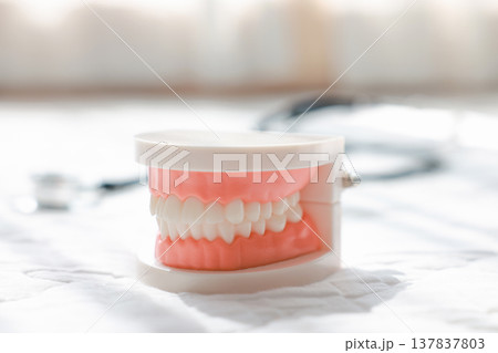 Dental plastic tooth model and stethoscope on white background with soft sunlight. Concept of dental health care, oral hygiene, medical checkup, stomatology, insurance and dentistry professional. Dental plastic tooth model and stethoscope on white background with soft sunlight. Concept of dental health care, oral hygiene, medical checkup, stomatology, insurance and dentistry professional. 137837803