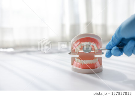 Dentist hand in blue glove holding dental mirror with tooth model on white background. Professional oral health care, hygiene, stomatology examination, dentistry treatment and medical insurance. Dentist hand in blue glove holding dental mirror with tooth model on white background. Professional oral health care, hygiene, stomatology examination, dentistry treatment and medical insurance. 137837813