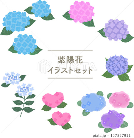 紫陽花のフラットイラストセット(ベクター)梅雨・初夏の花素材 紫陽花のフラットイラストセット(ベクター)梅雨・初夏の花素材 137837911