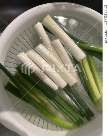 美味しい長ネギ 137838512