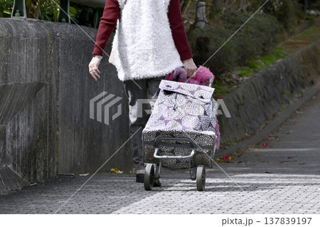 日本の横浜都市景観隙間だらけのマスク姿…カートの高齢女性、段差や隙間でカートはガタガタ揺れ歩きにくい 日本の横浜都市景観隙間だらけのマスク姿…カートの高齢女性、段差や隙間でカートはガタガタ揺れ歩きにくい 137839197