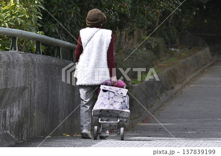 日本の横浜都市景観隙間だらけのマスク姿…カートの高齢女性、段差や隙間でカートはガタガタ揺れ歩きにくい 137839199