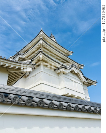 青空に映える関宿城の天守閣 137839463