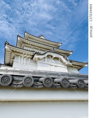 青空に映える関宿城の天守閣 137839464