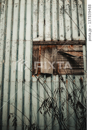 路地裏の壁面 137839488
