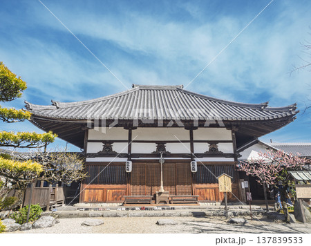 万葉の祈りを包む、飛鳥寺の春景色 万葉の祈りを包む、飛鳥寺の春景色 137839533