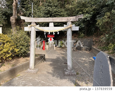 津田山弁財天 137839559