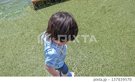 水辺で遊ぶ男の子 水辺で遊ぶ男の子 137839570