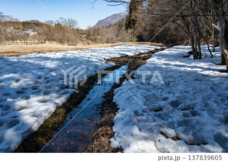氷点下の朝 凍った小川の水面 氷点下の朝 凍った小川の水面 137839605