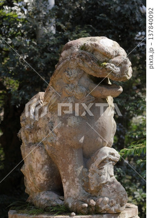 神社にある狛犬 137840092