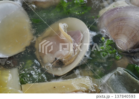 はまぐり鍋 137840593