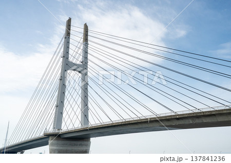 晴れの日の田尻スカイブリッジ 137841236
