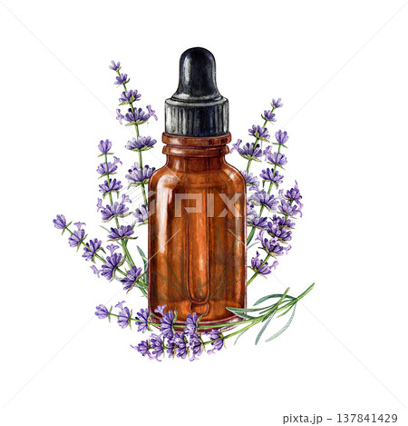 Amber dropper bottle with lavender herb flowers isolated on white background. Hand drawn botanical watercolor illustration for aromatherapy, essential oils, herbal medicine, natural cosmetics Amber dropper bottle with lavender herb flowers isolated on white background. Hand drawn botanical watercolor illustration for aromatherapy, essential oils, herbal medicine, natural cosmetics 137841429