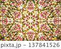 クリスマスローズの花の万華鏡 137841526