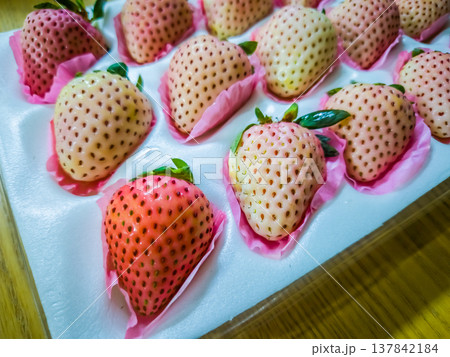 Close-up view of fresh, ready-to-eat, special variety of white and pink strawberries in a protective box. 137842184