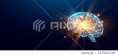 Human brain. Wireframe low poly style. Concept for medical, brain cancer, neural network. Abstract modern 3d vector illustration on dark blue background. 137842239