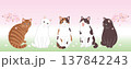 桜と猫の和風バナーデザイン 137842243