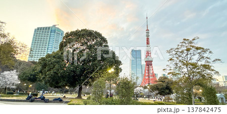 東京タワーと増上寺を背景にした夕暮れの芝公園と都会の街並み 東京タワーと増上寺を背景にした夕暮れの芝公園と都会の街並み 137842475
