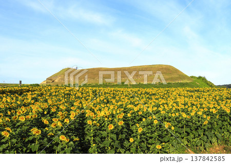 Summer scenery of Horogoru Fortress in Yeoncheon-gun, Gyeonggi-do. Summer scenery of Horogoru Fortress in Yeoncheon-gun, Gyeonggi-do. 137842585