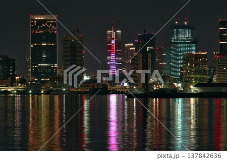 豊洲ぐるり公園から望む東京タワーと都心の夜景 豊洲ぐるり公園から望む東京タワーと都心の夜景 137842636