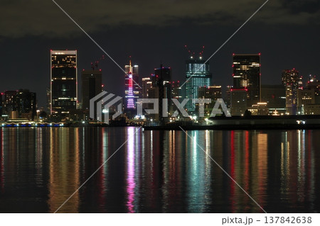 豊洲ぐるり公園から望む東京タワーと都心の夜景 豊洲ぐるり公園から望む東京タワーと都心の夜景 137842638