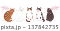 桜と猫のバナーデザイン 137842735
