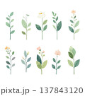 草と花のコレクション　草花の手描き風ベクターイラスト 137843120