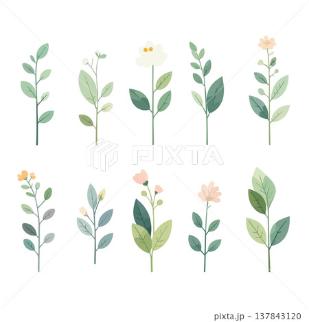 草と花のコレクション 草花の手描き風ベクターイラスト 草と花のコレクション 草花の手描き風ベクターイラスト 137843120
