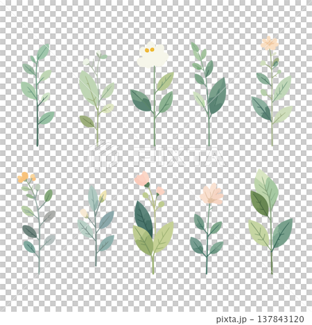 草と花のコレクション 草花の手描き風ベクターイラスト 草と花のコレクション 草花の手描き風ベクターイラスト 137843120