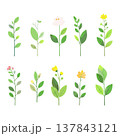 草と花のコレクション　草花の手描き風ベクターイラスト 137843121