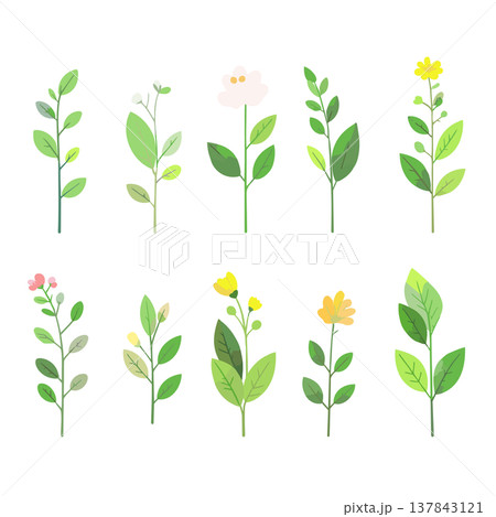 草と花のコレクション 草花の手描き風ベクターイラスト 草と花のコレクション 草花の手描き風ベクターイラスト 137843121