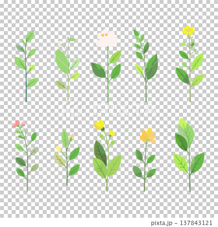 草和花的集合：手繪風格的草和花向量插圖 137843121