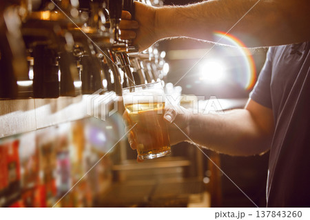 Bartender Pours Fresh Lager Beer From Tap Into Glass in Lively Bar Atmosphere 137843260