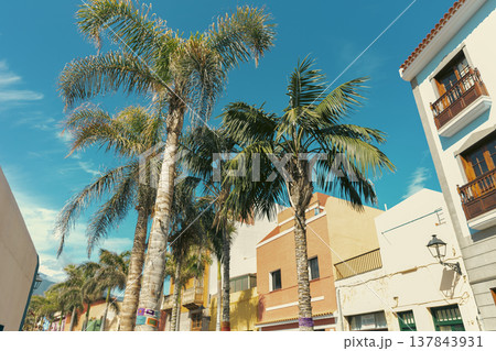 Vibrant Colonial Street with Palm Trees in Tenerife under Blue Sky with copy space 137843931