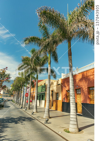 Vibrant Colorful Houses and Palms in Puerto de la Cruz Tenerife with copy space Vibrant Colorful Houses and Palms in Puerto de la Cruz Tenerife with copy space 137843935