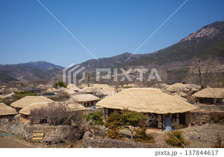 Traditional Korean village with clustered thatched houses 137844617