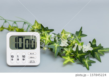 10分にセットされたキッチンタイマーと観葉植物の素材写真 137845224