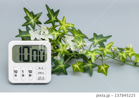 10分にセットされたキッチンタイマーと観葉植物の素材写真 10分にセットされたキッチンタイマーと観葉植物の素材写真 137845225
