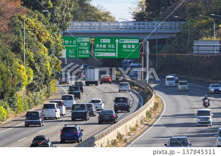 保土ヶ谷バイパスを走るトラックと乗用車、複数方面の標識が並ぶ日本の高速道路交通シーン 保土ヶ谷バイパスを走るトラックと乗用車、複数方面の標識が並ぶ日本の高速道路交通シーン 137845311