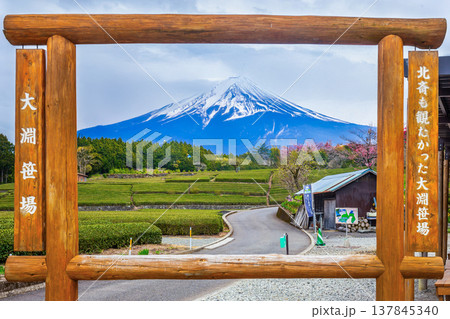 Shizuoka, Japan - April 8, 2024 : A wooden frame for tourists to take photos with the tea plantation and Mount Fuji in the background at Shizuoka City. 137845340