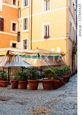 Outdoor dining area with plants in a narrow street in Rome during the morning light 137845429