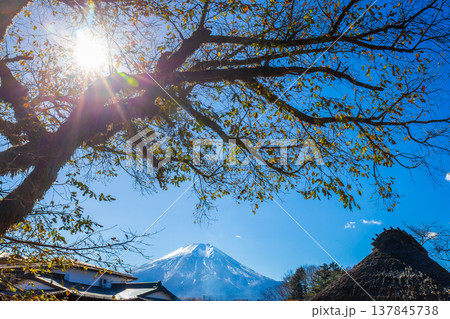 Traditional Japanese house roof with Mt. Fuji in the background and sunlight shining through trees. Copy space background Traditional Japanese house roof with Mt. Fuji in the background and sunlight shining through trees. Copy space background 137845738