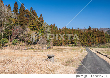 奥琵琶湖西浅井町の山林 滋賀県長浜市 奥琵琶湖西浅井町の山林 滋賀県長浜市 137845784