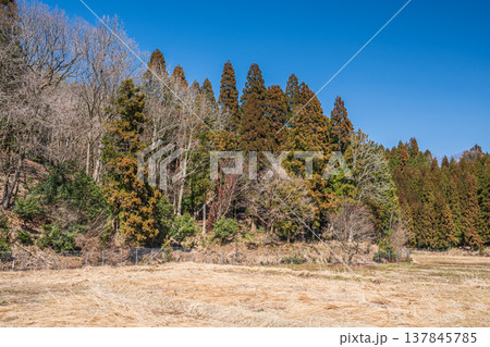 奥琵琶湖西浅井町の山林　滋賀県長浜市 137845785