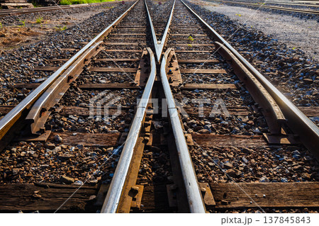old railway crossing point that uses wooden supports for the steel bars. 137845843