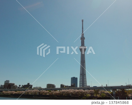 スカイツリー。 137845868