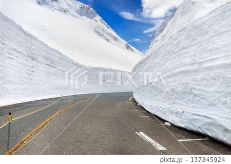 Snow wall with a road landscape view point with Blue Sky from Matsumoto to Toyama, Tateyama Kurobe Alpine Route, Japan Alps. Famous place landmark for tourist. 137845924