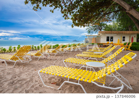Plenty of beach chairs on the sand under the trees during the day. with beautiful sky in summer Plenty of beach chairs on the sand under the trees during the day. with beautiful sky in summer 137846006