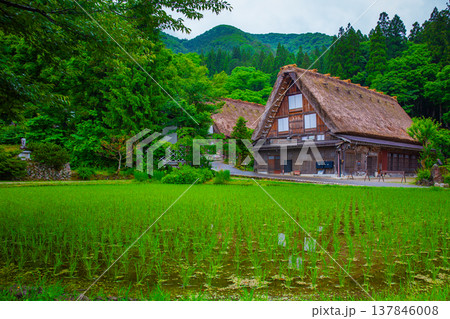 Historical Japanese Village or Shirakawago (ogimachi village) in Gifu Prefecture Chubu Region1995 was registered as a World Cultural Heritage Site together with Gokayama, travel landmark of Japan Historical Japanese Village or Shirakawago (ogimachi village) in Gifu Prefecture Chubu Region1995 was registered as a World Cultural Heritage Site together with Gokayama, travel landmark of Japan 137846008