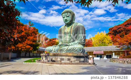 Daibutsu or Great Buddha of Kamakura in Kotokuin Temple at Kanagawa Prefecture Japan with leaves changing color It is an important landmark and a popular destination for tourists and pilgrims. 137846288
